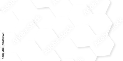 Abstract white grid presentation surface mosaic and tiles minimal tech bee website science element grid overlay white hexagon futuristic technology geometric texture background.