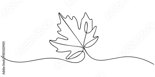 One Line of Autumn Grace, A continuous line drawing of a maple leaf with elegant curves extending across the image, Autumn leave maple leaf one line continuous drawing doodle illustration, Continuous