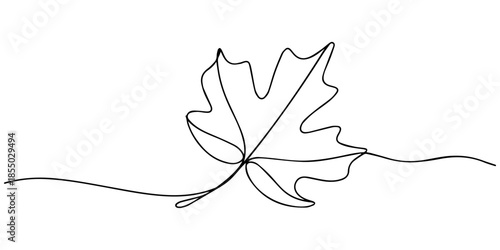 One Line of Autumn Grace, A continuous line drawing of a maple leaf with elegant curves extending across the image, Autumn leave maple leaf one line continuous drawing doodle illustration, Continuous