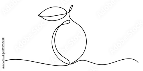 Lemon one line illustration. Vector continuous outline isolated sketch of fruit, vector drawing, continuous one line drawing of citrus fruit Lemon, Single line lemon fruit drawing white background.