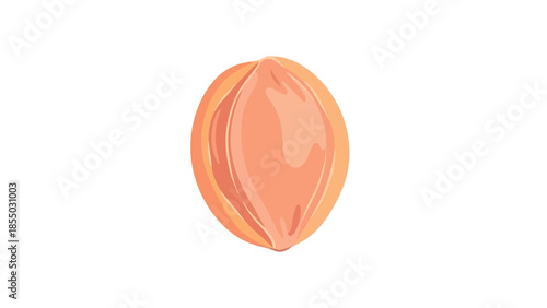 Vibrant and detailed illustration of a solitary fruit pit, rendered with natural textures and warm earthy hues on a clean white background