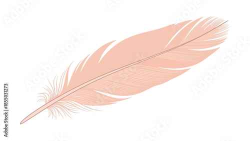 Delicate and Elegant Pink Feather Illustration on Clean White Background, Symbolizing Lightness, Grace, and Serenity
