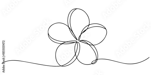 Flower continuous line art drawing. Plumeria one line symbol. Frangipani blossom. Vector illustration isolated on white, Plumeria flowers in continuous line art drawing style. Minimalist black line