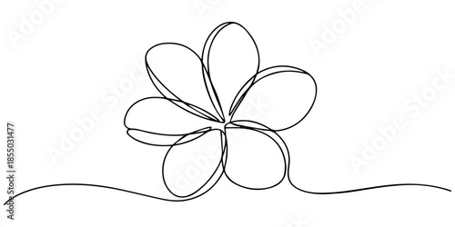 Flower continuous line art drawing. Plumeria one line symbol. Frangipani blossom. Vector illustration isolated on white, Plumeria flowers in continuous line art drawing style. Minimalist black line