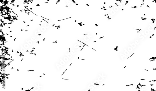 Grunge Dust and Scratch Texture in Black and White Dirty Style Vector Illustration for Distressed Background and Design Use.