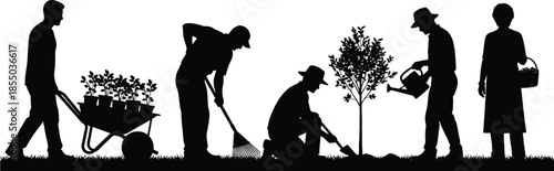 Group of gardeners performing outdoor tasks, planting, watering, raking, harvesting, teamwork in sustainable environment and community care concept, flat vector