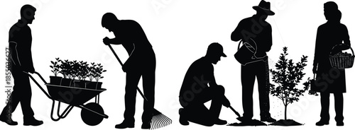 Group of gardeners working together in outdoor setting, planting, watering, raking, harvesting, teamwork in sustainable agriculture concept, flat vector