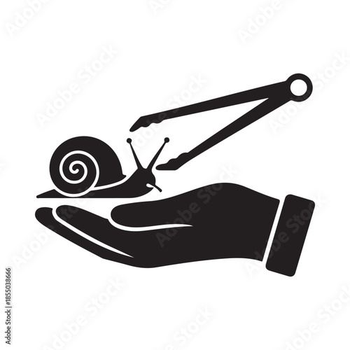 A hand gently holding a snail with calipers measuring its shell