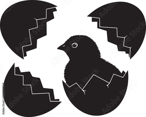 Chick emerging from broken eggshell