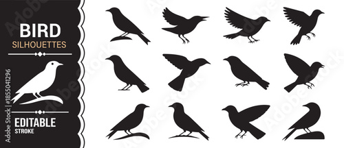 Black solid bird icons for nature, wildlife, and freedom-themed design