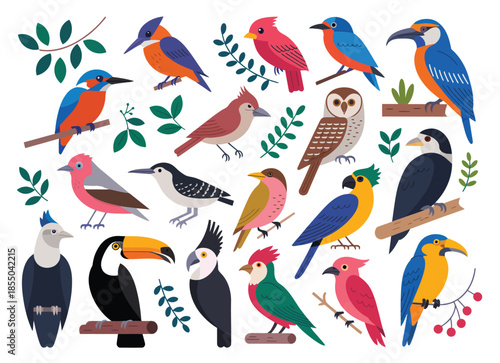 cartoon birds collection for any visual design including diverse species like flamingos, toucans, and bluebirds for creative branding, educational posters, and whimsical children's book projects.