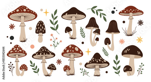 Large assortment of various wild mushroom types, leaves, and botanical elements for a woodland or nature-inspired theme.