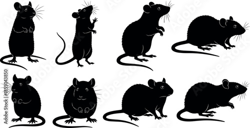 Black silhouette of rats and mice in various poses including standing sitting and crawling isolated on white background vector illustration