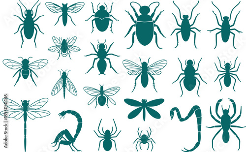 Black and white insect silhouette illustration set with butterflies, beetles, spiders, dragonflies, flies, detailed entomology collection design