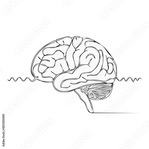 Brain illustration line art for medicine or education. Brainwaves drawn in simple lines for neuroscience designs