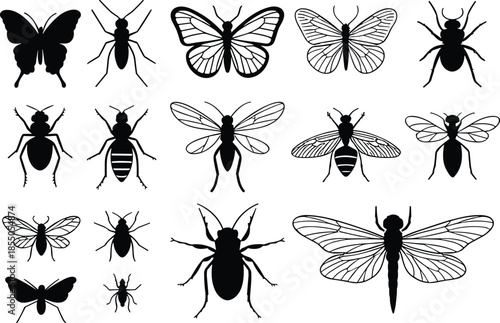 Black and white insect silhouette illustration set with butterflies, beetles, spiders, dragonflies, flies, detailed entomology collection design