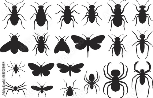 Black and white insect silhouette illustration set with butterflies, beetles, spiders, dragonflies, flies, detailed entomology collection design
