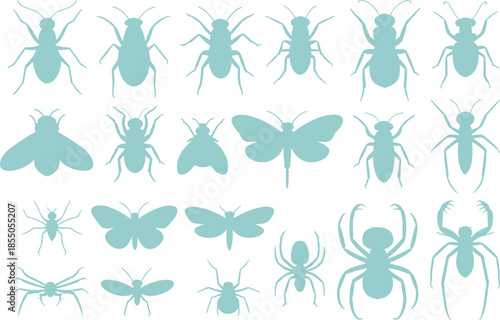 Black and white insect silhouette illustration set with butterflies, beetles, spiders, dragonflies, flies, detailed entomology collection design