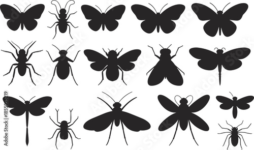 Black and white insect silhouette illustration set with butterflies, beetles, spiders, dragonflies, flies, detailed entomology collection design