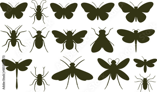 Black and white insect silhouette illustration set with butterflies, beetles, spiders, dragonflies, flies, detailed entomology collection design