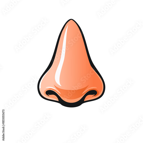 Close up Illustration of a human nose with shadow and black outline on a white background