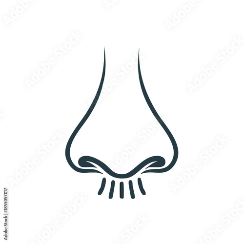 Human Nose Outline Illustration Snout Olfactory Organ Sensory Anatomy
