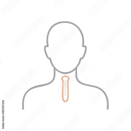 Human Silhouette with Trachea Tube Graphic for Medical Concept