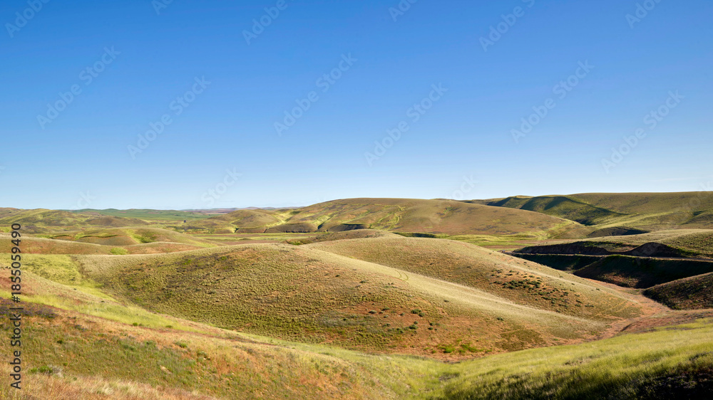 Obraz premium Undulating Grassland Hills Beneath a Clear Blue Horizon