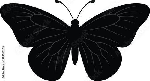 Red Admiral Butterfly Silhouette Vector Illustration on White Background