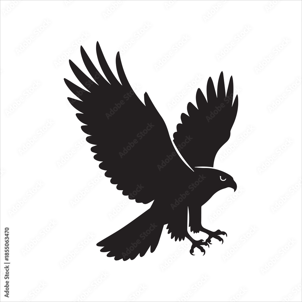 Fototapeta premium SHADOWS OF THE SKY WANDERERS