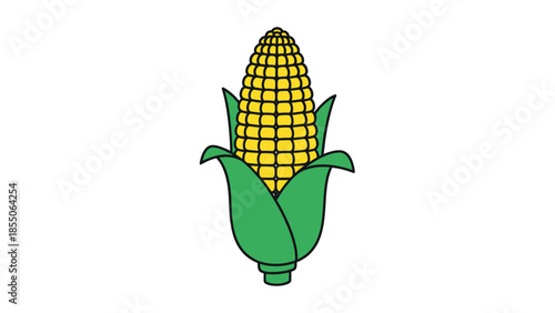 Fresh Corn on the Cob with Green Leaves - Isolated on White Background