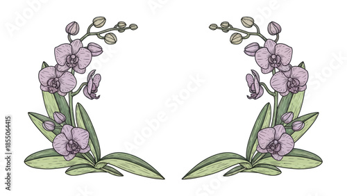 Orchid Flower Branch Set - Delicate Botanical Illustration