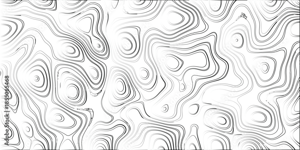 Fototapeta premium Abstract topographic map style pattern with swirling organic lines in grayscale, creating a textured and visually complex background with contour-like shapes and subtle gradients