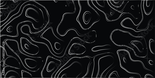 Abstract topographic contour lines with a dark background and subtle grayscale shading creating a sense of depth and organic flow for graphic design and scientific visualization backgrounds