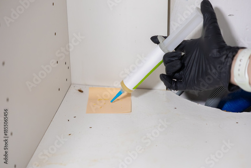 Photos Gloved hand applying powerful cockroach bait gel from syringe applicator within