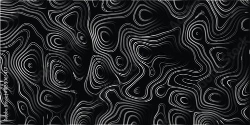 Abstract topographic map style pattern with swirling organic lines in black and white, creating a textured and visually complex background with contour-like shapes