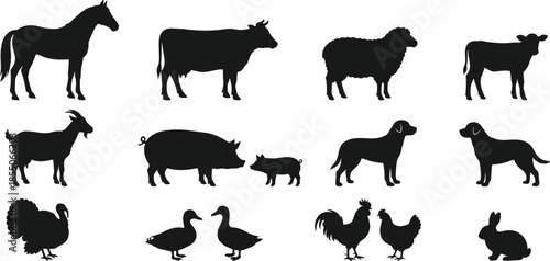 Farm animal silhouettes set with horse cow sheep goat pig dog poultry rabbit, livestock icons, rural agriculture illustration, isolated vector