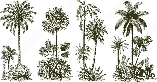 Vintage palm tree illustration set in monochrome brown, tropical botanical landscape elements, retro engraving style nature collection design