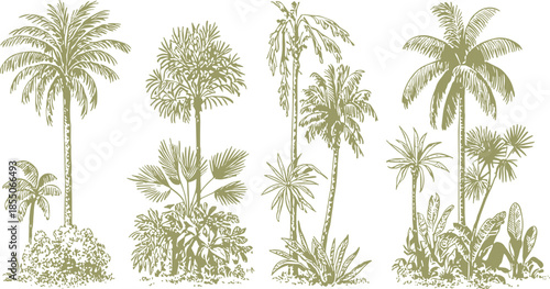 Vintage palm tree illustration set in monochrome brown, tropical botanical landscape elements, retro engraving style nature collection design