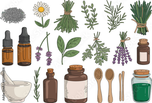 Hand drawn herbal medicine illustration set with dried plants, essential oil bottles, mortar and pestle, natural wellness and aromatherapy elements