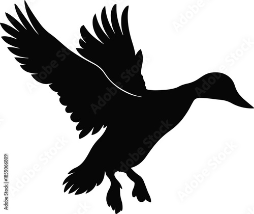 Duck Flying Editable Vector AI File | Adobe Illustrator | Export to SVG, EPS, PDF, PNG, DXF, JPEG