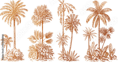 Vintage palm tree illustration set in monochrome brown, tropical botanical landscape elements, retro engraving style nature collection design