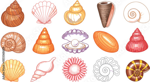 Seashell vector illustration set with colorful ocean shells, spiral and scallop shapes for beach, marine life, summer vacation, and coastal design concepts