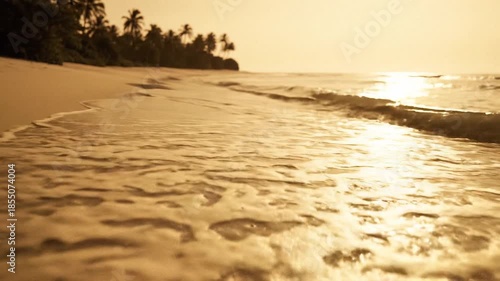 aerial of a tropical coastline, soft warm tones, gentle tide forming smooth curved lines