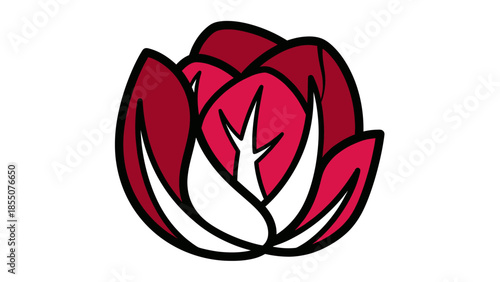 Radicchio Vegetable Healthy Food Illustration