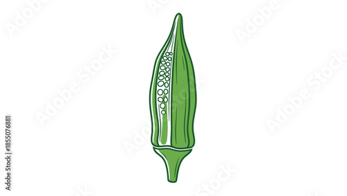 Fresh Okra Pod Cut Open Showing Seeds, Healthy Vegetable Illustration
