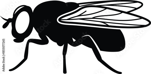 Fruit Fly Silhouette Vector Illustration on White Background