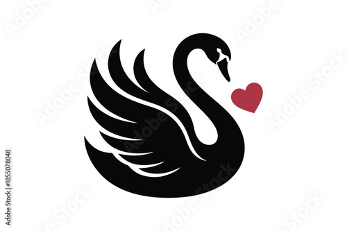 Black swan with heart symbol on white background romantic love icon romance animal bird waterfowl illustration