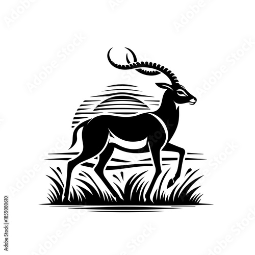 Placeholder image display