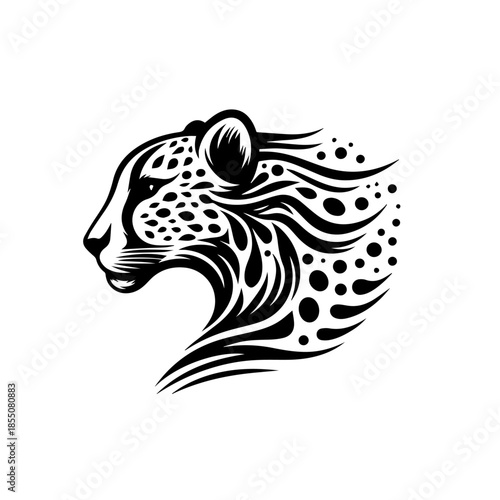 Placeholder image display